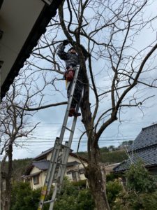 ☆春のお悩みに掛かるお金の話☆