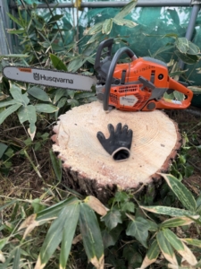 今年の師走は少し違います